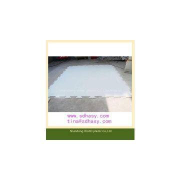 Shandong Huao Inflatable UHMWPE Plastic Ice Skating Board/plastic Backyard Hockey Shotting Pad From China Factory/plastic Pad photo-2