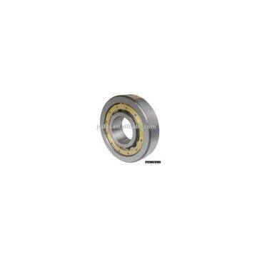 Cylindrical Roller Bearing