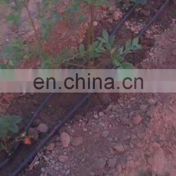 16mm Drip Irrigation/Drip Irrigation Pipe , Distance 10-100 cm