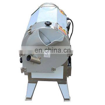 Food Factory Use Okra Fruit Slicer Onion Cutter Machine photo-7