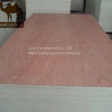 High Quality Commercial Plywood Melamine Plywood for Decoration photo-3