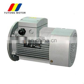 YS series Three Phase AC electric motor 0.25KW