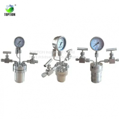 Hydrothermal synthesis reactor