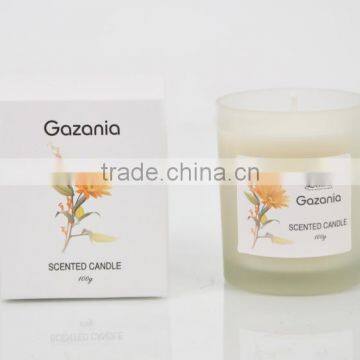 100g Scented Candle glass candle Jar ,Home Decorative wax candle jar SA-2047