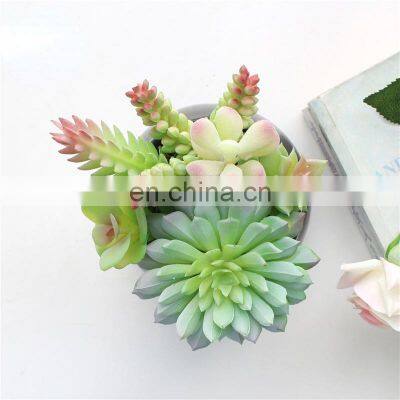 Home Garden Decorations Plastic Flower Wholesale Cute Pots Assorted Artificial Succulents With Black Pot