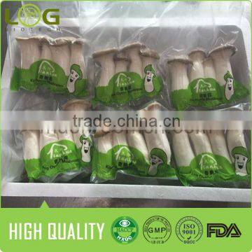 High Quality Fresh King Oyster photo-3
