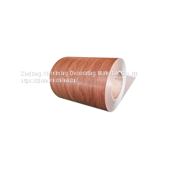 Pre-pained Steelcoil/aluminium Coil Household Appliances