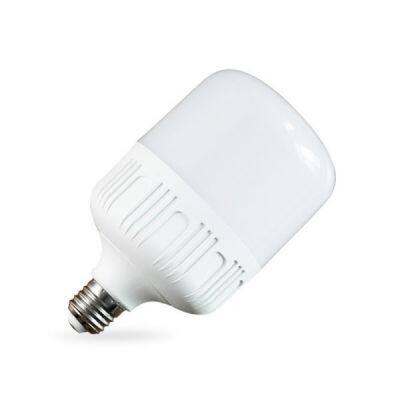 Manufacturing Plant Wholesale Cheap 3000 5000 Lumen 10W 20W 40W Price LED Bulb Light photo-2