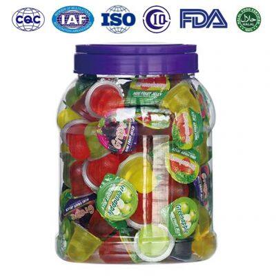 OEM Mini Galetina con Piezas de coco en Bolsa, Frasco, Melatas, Canastas y Granel Fruity Flavour Mini Fruit Jelly in Jar
