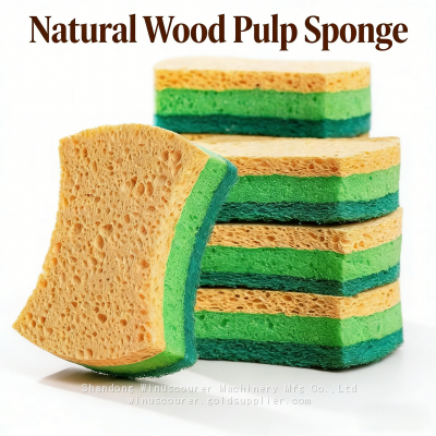 Find Similar Icon Eco-Friendly Biodegradable Cellulose Sponge Scrubber Kitchen Cleaning Dish Scrubbers Scouring Pad