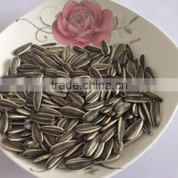 sunflower seeds with good quality for human consumption