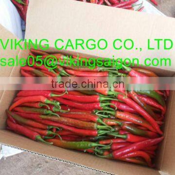 HOT SELL FRESH CHILI FROM VIETNAM