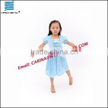 Cinderella Princess Costume