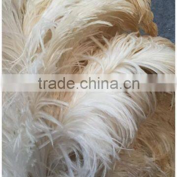 Single Color Feather Duster