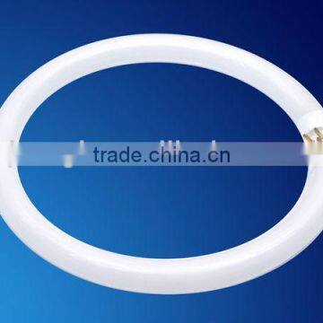 high quality T5 tri-phoshor circular fluorescent lamp