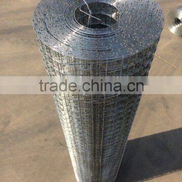 Welded Steel Wire Mesh in Roll