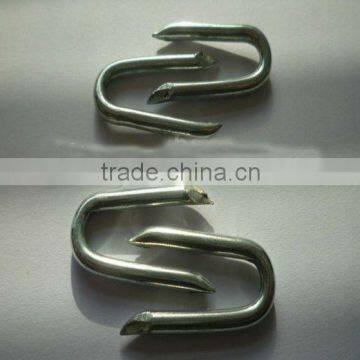 Barbed U-shape Nails/Square Bottom U Shaped Nail (ISO9001) Quality Choice photo-3
