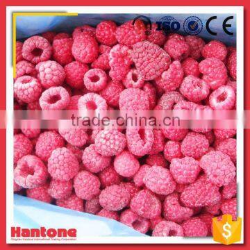 Frozen Whole Raspberry Price Wholesale