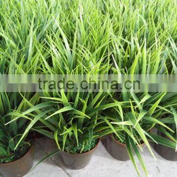 evergreen popular creative craft artificial green grass with pot fake grass bonsai for garden ornaments