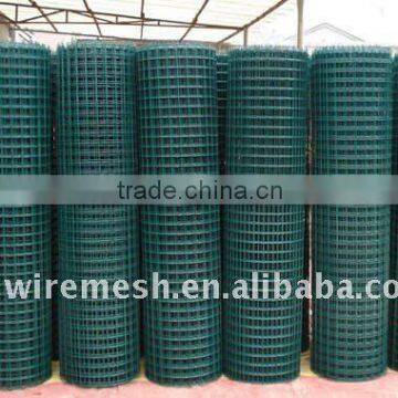Welded Wire Mesh---factory