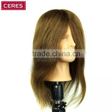 14inch Cosmetology Mannequin Manikin Training Head with Human Hair