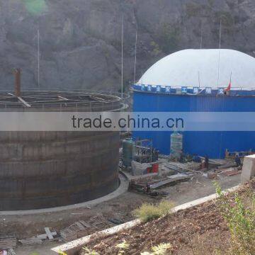 China PUXIN 100-5000 Cbm Soft Dome Biogas Plant for Cow Hog Farm Waste Treatment