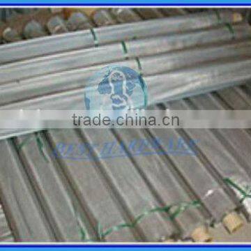 Hot Sale Galvanized Iron Wire Window Screen and Neting photo-4