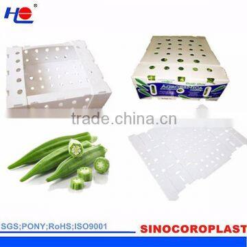 Plastic Vegetables Storage Box