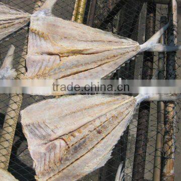 dried queenfish