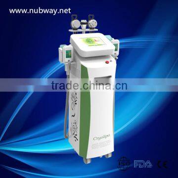 Flabby Skin Hot Selling 5 Handle Weight Loss With A Big Discount Slimming Machine With 3 Cryolipolysis Probes Lose Weight