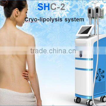 Fat Freezing Machine
