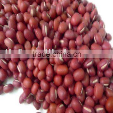 Small Red Beans/red beans 09 stock