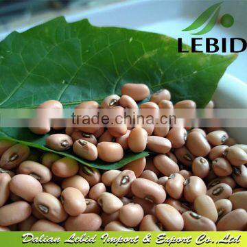 2014 pink cowpea seeds cowpea