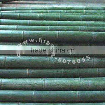 Colored Bamboo Pole 1.15" (HL-CLBP4)