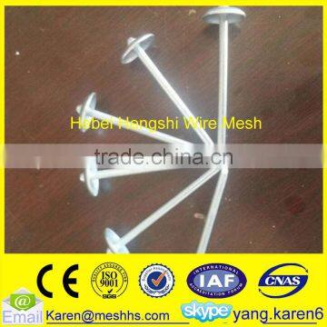 China iron roofing nails