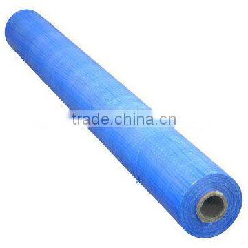 High Quality PE Tarpaulin