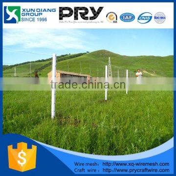 Factory direct sale electro galvanized cattle fence and hinge joint knot field fence mesh for animals & cattle fence