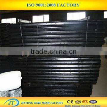 Heavy Zinc Coated Star Picket Y Fence Post for Australian photo-4