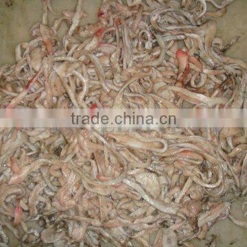 Taiwan Teemyeah Ground Meat Machine photo-4