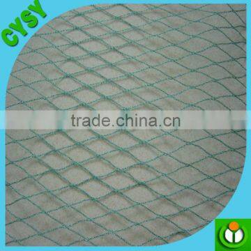 New Anti-bird Netting, Anti Bird Net for Catching Birds, pe Anti Bird Protection Netting photo-5