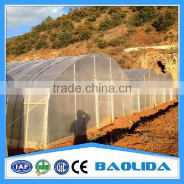 6m/8m/9/ Vegetables Single Span Greenhouse photo-2