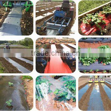 Agricultural Plastic Black Builders Mulch Film for weed control