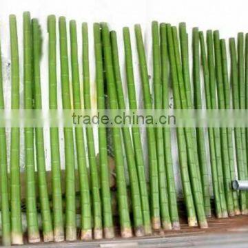 Fake bamboo plant sticks ,Artificial bamboo poles lucky bamboo garden decorative