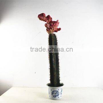 SJ3001102 Artificial Big Grafted Cactus for Landscaping Decoration photo-4