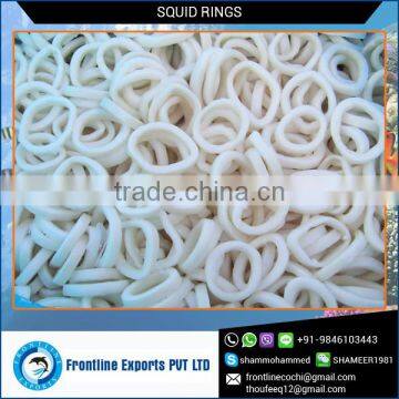 Mouth Watering Supreme Squid Rings at Factory Price