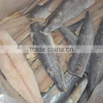 Best Quality Seafood Product Frozen Spanish Mackerel Steaks