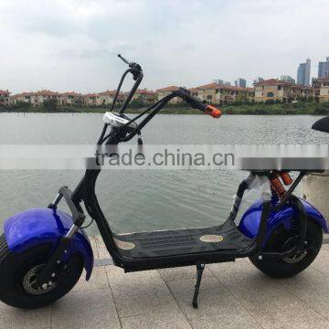 Hot sale Cool desigh 1000w 60v Fat tire harley electric bike