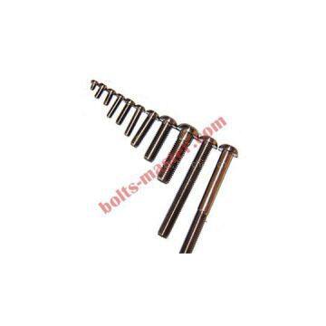 Titanium Button Head Torx Bolts