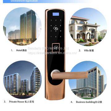 Korea South Market Convenience Goods Biometric Door Lock (website:bessie_wu077) photo-5