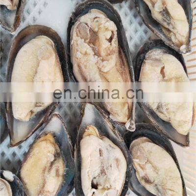 Frozen Mussel Half Shell Mussel Meat